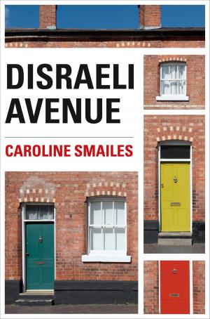 Cover of the book Disraeli Avenue by Jeff Brown