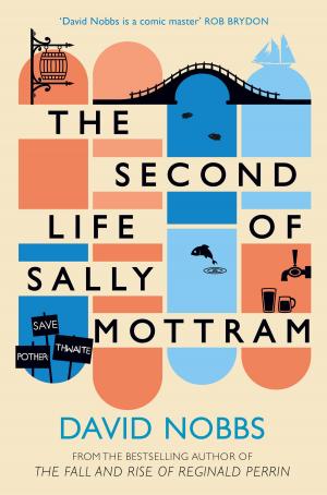bigCover of the book The Second Life of Sally Mottram by 