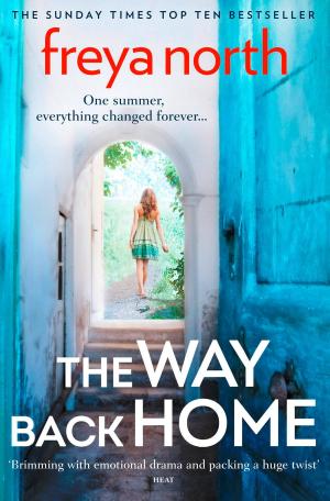Cover of the book The Way Back Home by Martin Allen