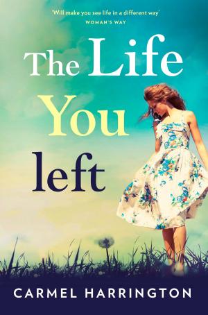 Cover of the book The Life You Left by Maurice Drake