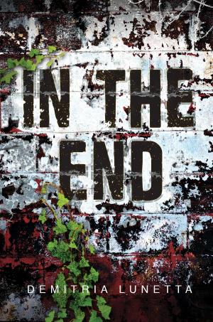 Cover of the book In the End by Daniel Ehrenhaft