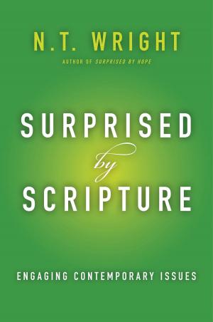 Cover of the book Surprised by Scripture by Debbonnaire Kovacs