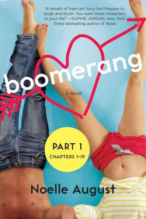 Cover of the book Boomerang (Part One: Chapters 1 - 19) by Mary Hart Perry