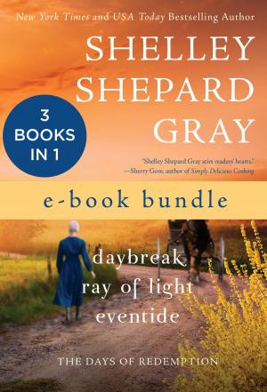 Cover of the book The Days of Redemption by Shelley Shepard Gray