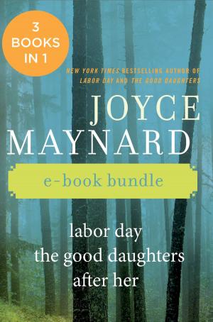 Book cover of The Joyce Maynard Collection