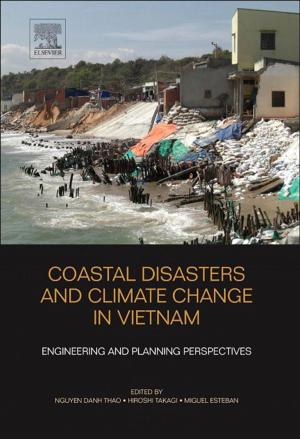 Cover of the book Coastal Disasters and Climate Change in Vietnam by Eric Scriven, Christopher A. Ramsden