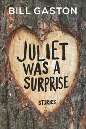 Cover of the book Juliet Was a Surprise by Adam Shoalts