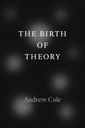 Cover of the book The Birth of Theory by Alexandria Walton Radford