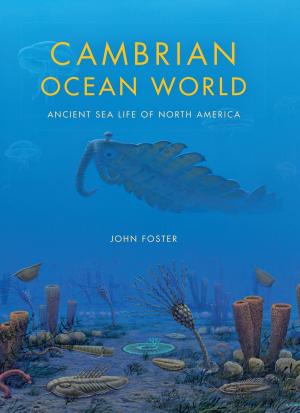 Cover of the book Cambrian Ocean World by Erik Kennes, Miles Larmer