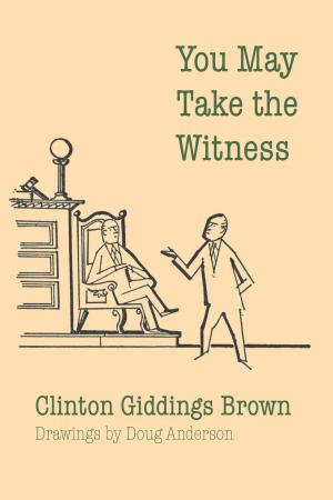 Cover of the book You May Take the Witness by Donald C. Hodges