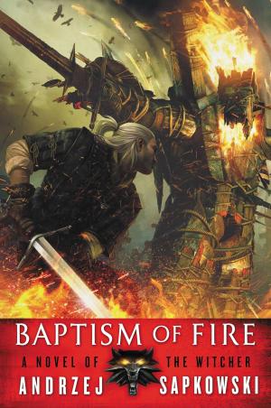 Cover of the book Baptism of Fire by Tom Holt