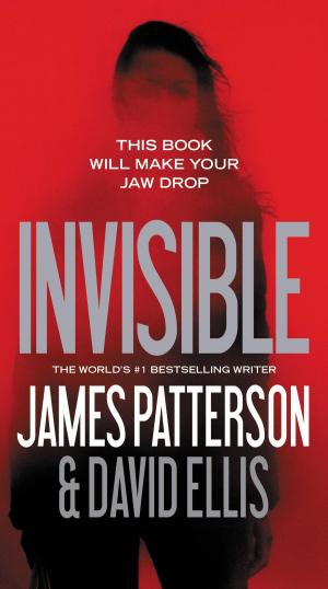 Cover of the book Invisible by Owen Schultz