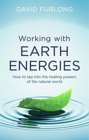 Cover of the book Working With Earth Energies by Jane Bailey