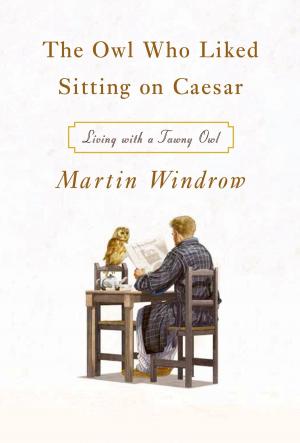 Book cover of The Owl Who Liked Sitting on Caesar