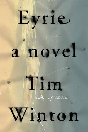 bigCover of the book Eyrie by 