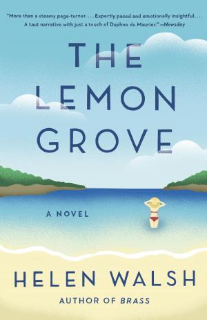Cover of the book The Lemon Grove by S.R. Bradshaw