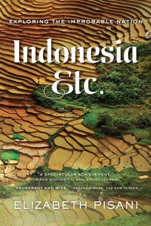 Cover of the book Indonesia, Etc.: Exploring the Improbable Nation by Bruce Cumings