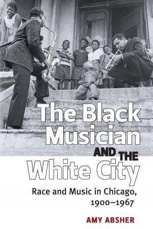 Cover of the book The Black Musician and the White City by Jami K. Taylor, Donald P. Haider-Markel, Daniel C. Lewis