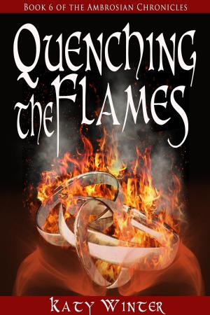 Cover of the book Quenching the Flames by John Robert Mills