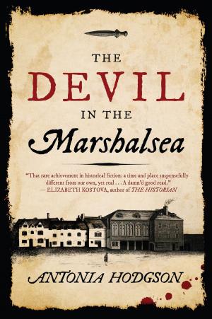 Cover of the book The Devil in the Marshalsea by Bridget Heos
