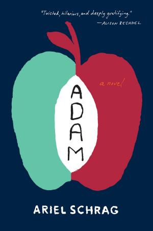 Cover of the book Adam by Paul Caggegi