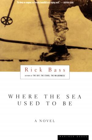 Book cover of Where the Sea Used to Be
