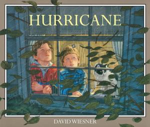 Book cover of Hurricane (Read-aloud)