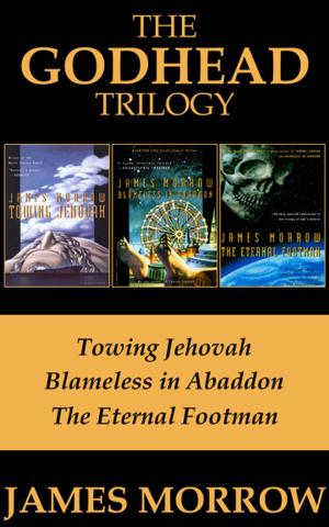 Cover of the book The Godhead Trilogy by Tony Vigorito