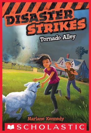 Cover of the book Disaster Strikes #2: Tornado Alley by Scholastic