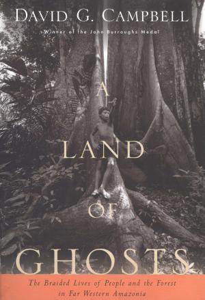 Cover of the book A Land of Ghosts by Stephen W. Sears