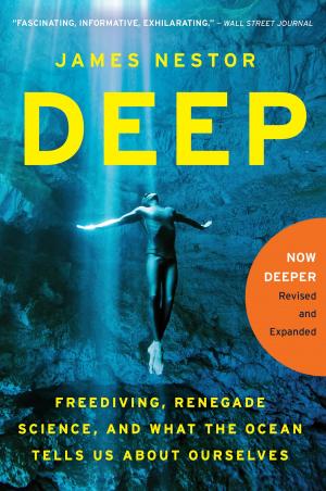 Cover of the book Deep by Andrew Beyer