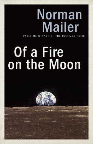 Book cover of Of a Fire on the Moon