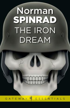 Cover of the book The Iron Dream by Michael Scott Rohan
