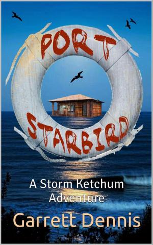 Cover of the book Port Starbird by Anthony O'Brian