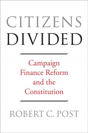 Cover of the book Citizens Divided by Nicholas Diakopoulos