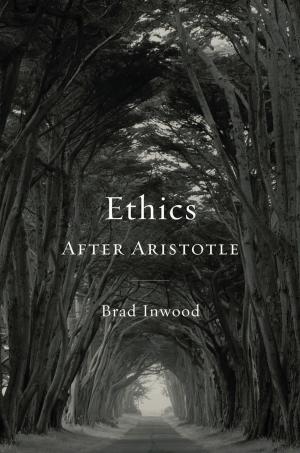 Cover of the book Ethics After Aristotle by Declan Kiberd