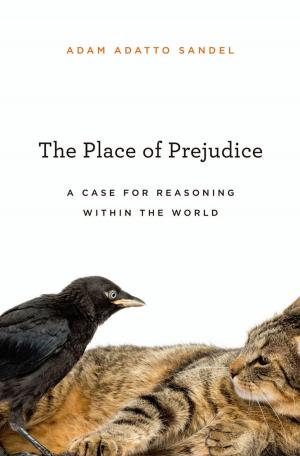 Book cover of The Place of Prejudice