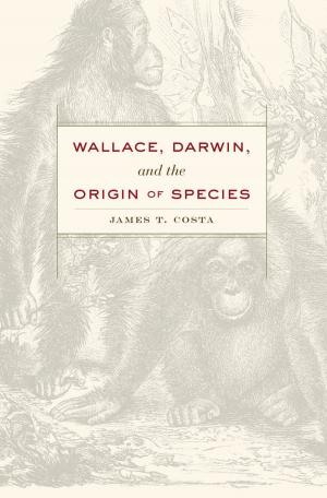 Cover of the book Wallace, Darwin, and the Origin of Species by Marina Warner