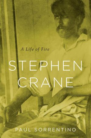 bigCover of the book Stephen Crane by 