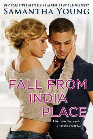 Cover of the book Fall From India Place by Ilona Andrews