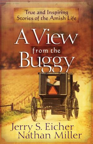Book cover of A View from the Buggy
