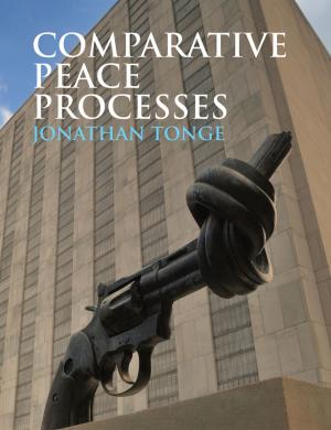 Cover of the book Comparative Peace Processes by Janet Sobesky