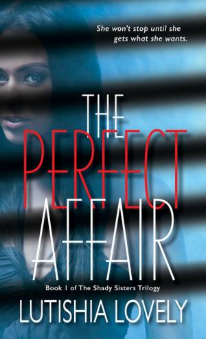 Cover of the book The Perfect Affair by Elle Parker