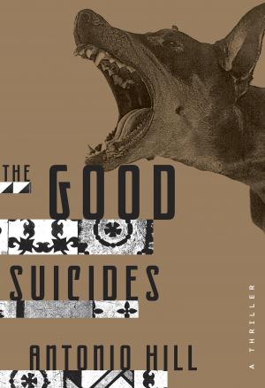 Cover of the book The Good Suicides by M. R. James