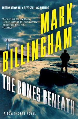 Cover of the book The Bones Beneath by Patricia Highsmith