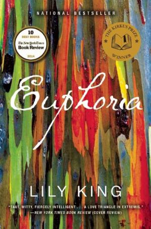 Cover of the book Euphoria by Christopher Brookmyre