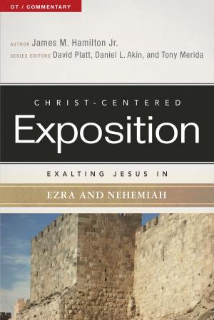 Book cover of Exalting Jesus in Ezra-Nehemiah