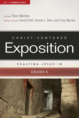 Cover of Exalting Jesus in Exodus