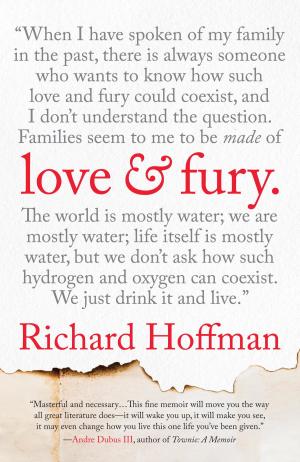 Cover of the book Love and Fury by Aviva Chomsky
