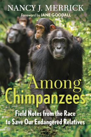 Book cover of Among Chimpanzees